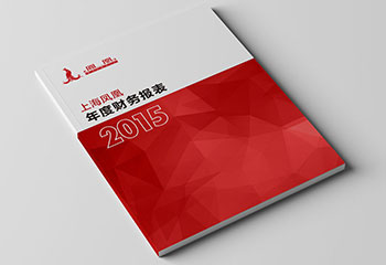 上海凤凰2015年度财务报表