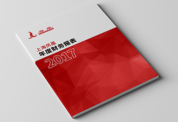 上海凤凰2017年度财务报表