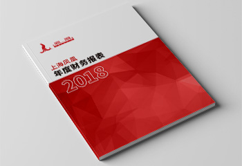 上海凤凰2018年度财务报表